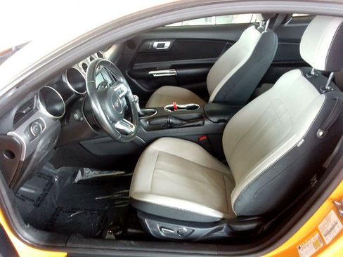 Used 2019 Ford Mustang EcoBoost Coupe w/ Equipment Group 101A image 14