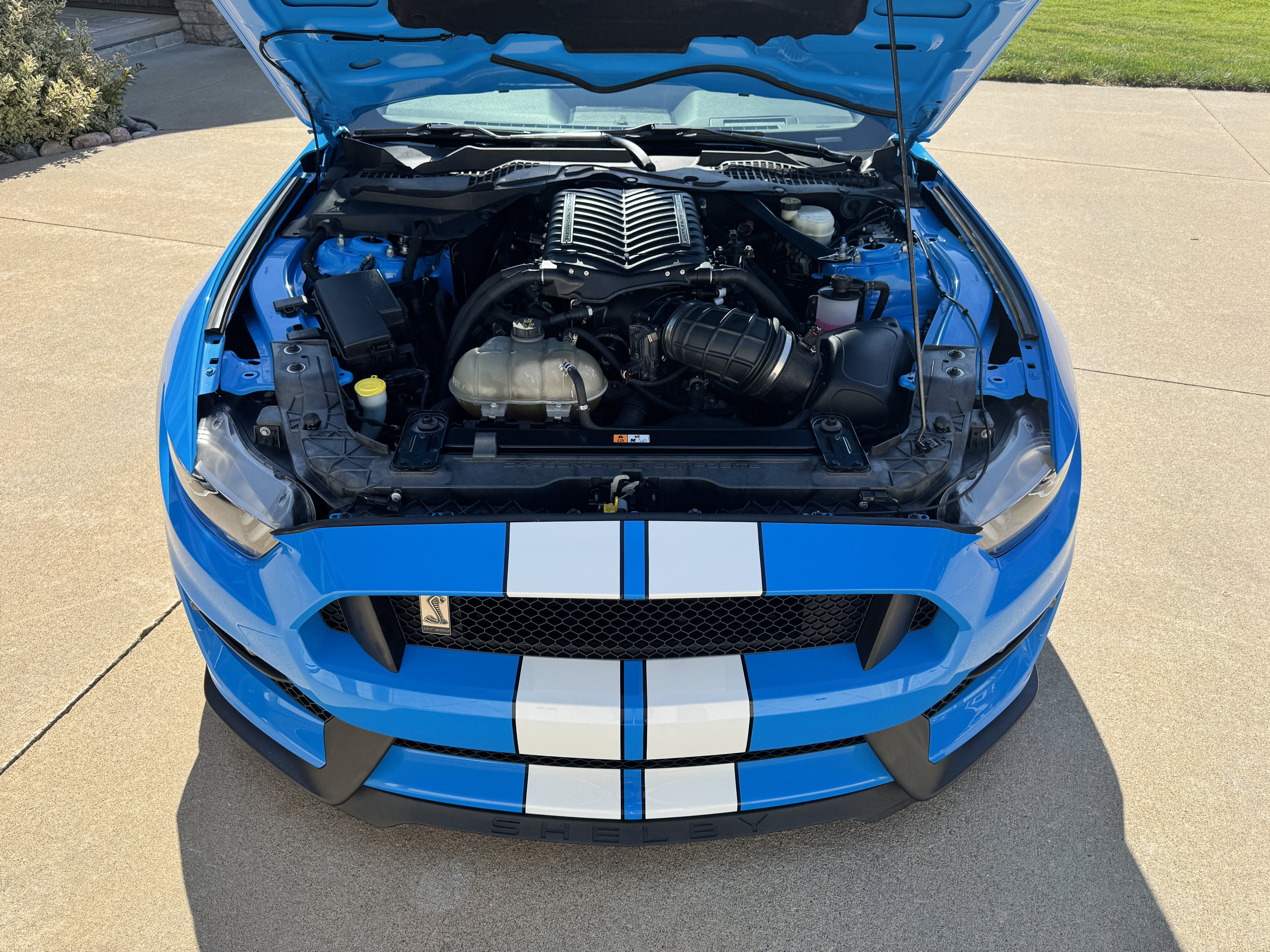 Used 2017 Ford Mustang Shelby GT350 RWD image 21