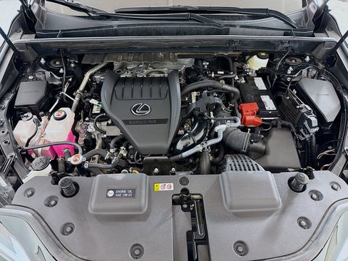 Certified 2025 Lexus NX 350 AWD w/ Cold Area Package image 28