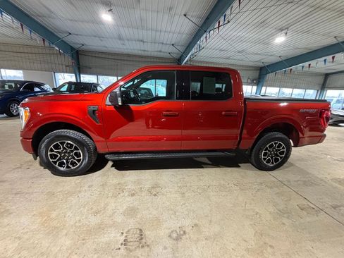 Used 2023 Ford F150 XLT w/ Equipment Group 302A High image 4