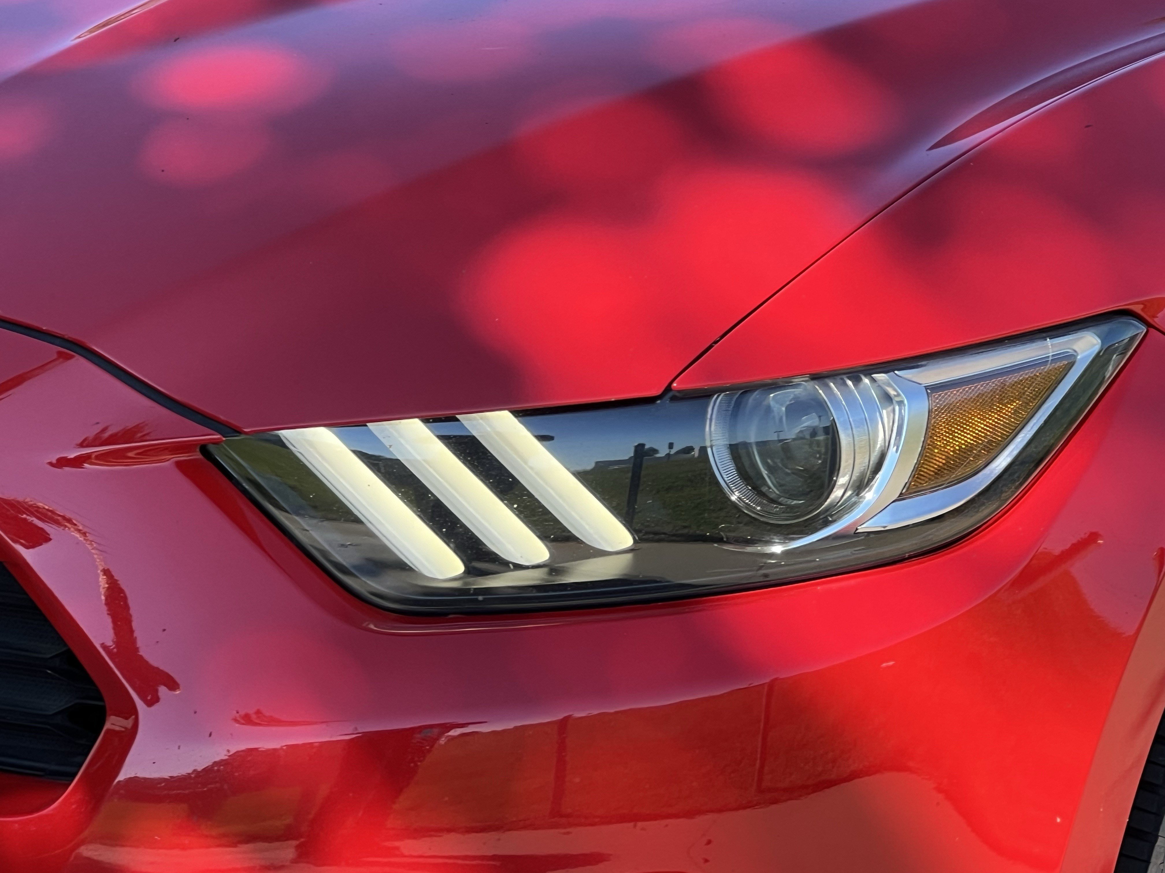 Used 2017 Ford Mustang Premium RWD image 7