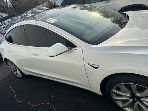 Used 2019 Tesla Model 3 Standard Range Plus image 2