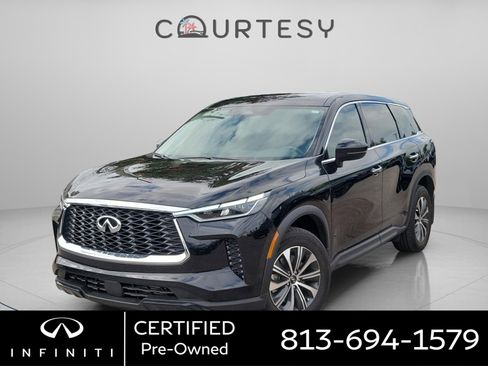 Certified 2025 INFINITI QX60 Pure image 1