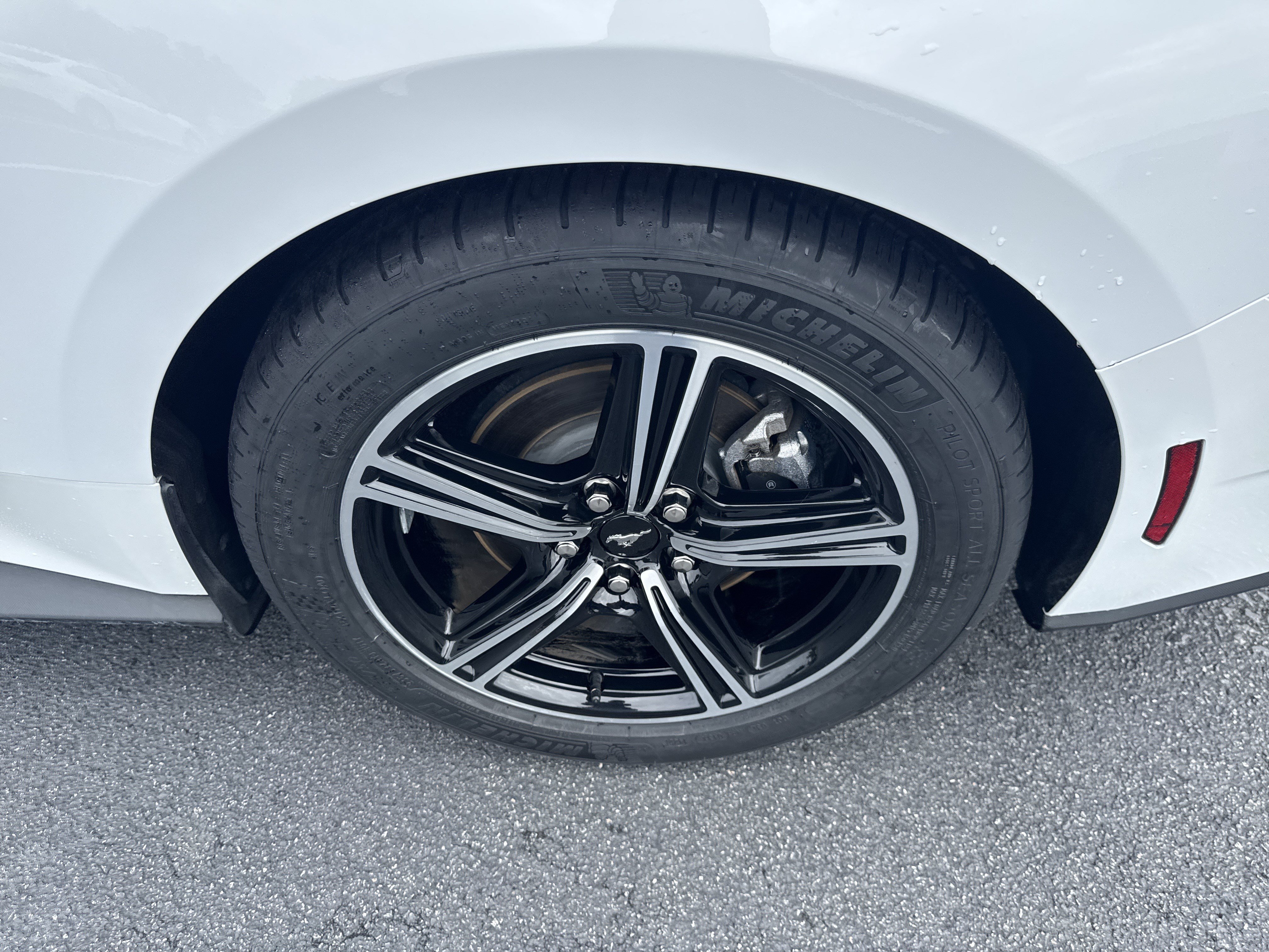 Used 2025 Ford Mustang Premium RWD image 13