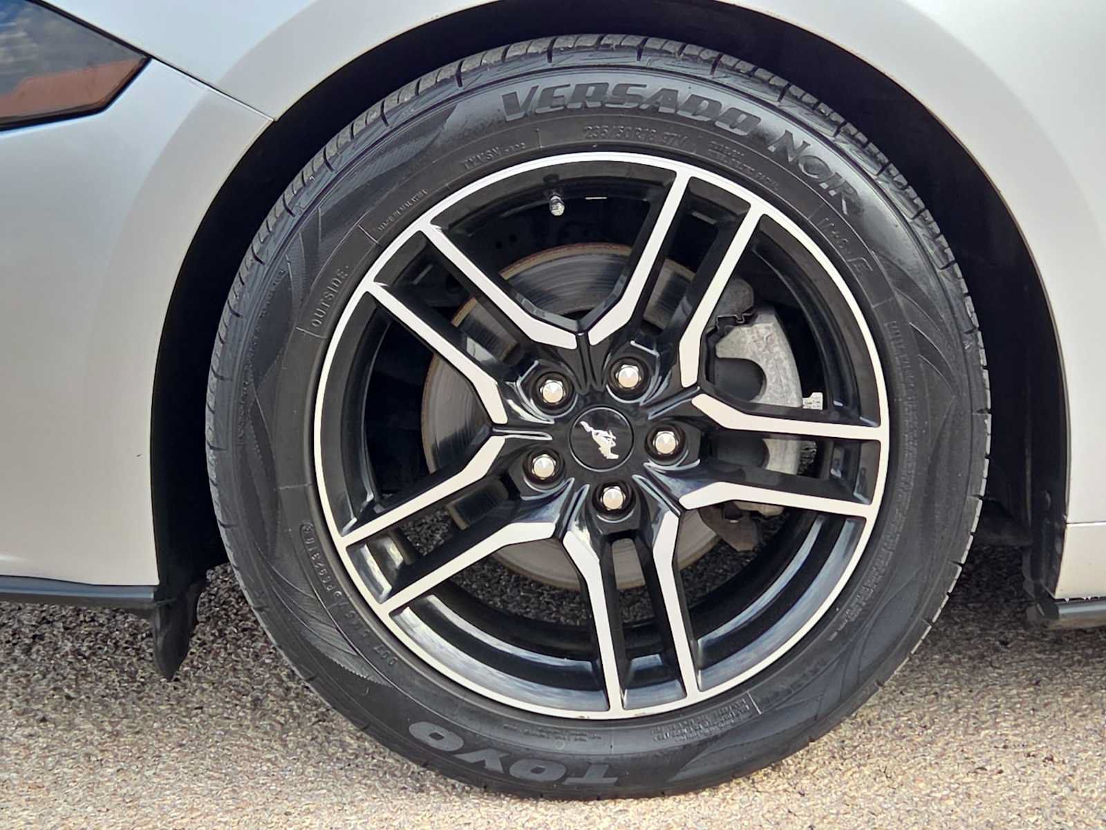 Used 2019 Ford Mustang Premium RWD image 12