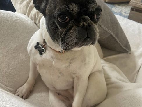 Used 2008 Chevrolet Impala LTZ image 41