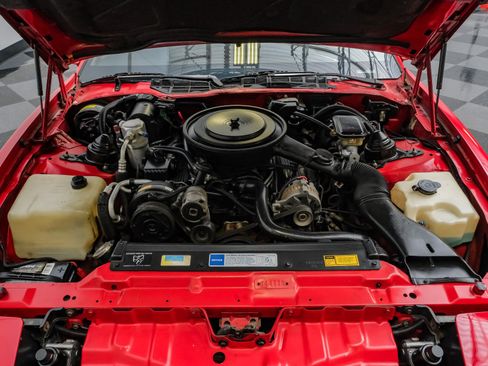 Used 1992 Pontiac Firebird Coupe RWD image 3