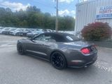 Used 2020 Ford Mustang Premium image 6