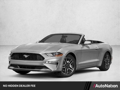 Used 2019 Ford Mustang Premium