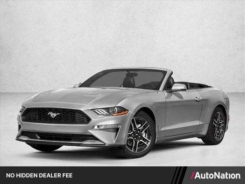 Used 2019 Ford Mustang Premium RWD image 1