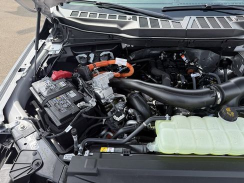 New 2025 Ford F150 XLT w/ Equipment Group 302A MID image 39