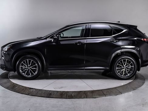 Used 2025 Lexus NX 350h AWD w/ Cold Area Package image 3