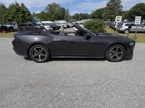 Used 2024 Ford Mustang Premium RWD image 6