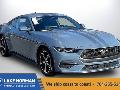 Used 2024 Ford Mustang Premium