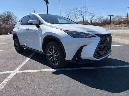 Used 2025 Lexus NX 250 AWD w/ Cold Area Package image 7