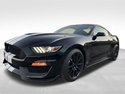 Used 2017 Ford Mustang Shelby GT350