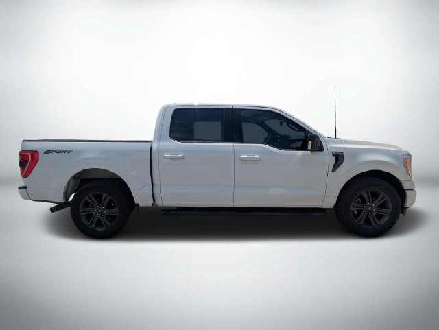 Used 2023 Ford F150 XLT w/ Equipment Group 302A High RWD image 3