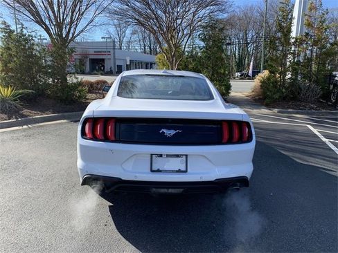 Used 2023 Ford Mustang EcoBoost w/ Equipment Group 101A image 7