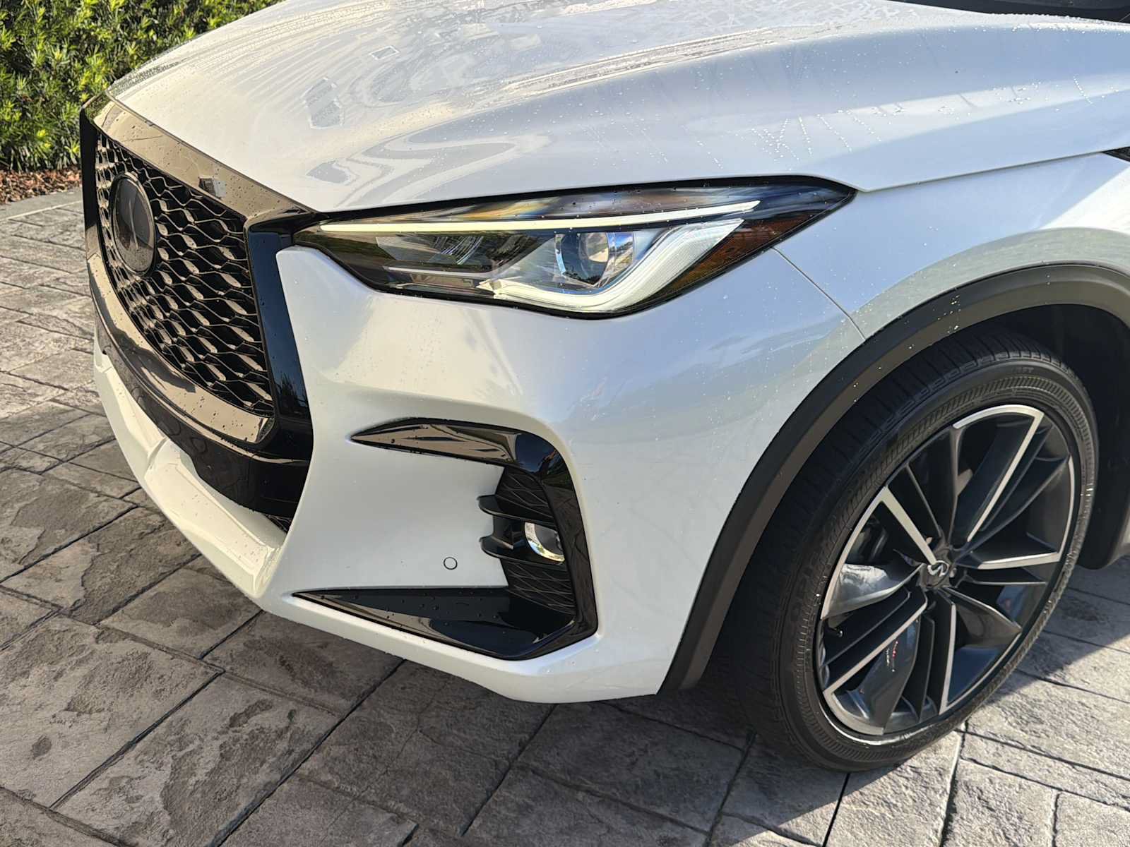 Used 2024 INFINITI QX50 Sport FWD image 11