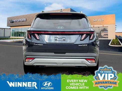 New 2025 Hyundai Tucson Limited image 7