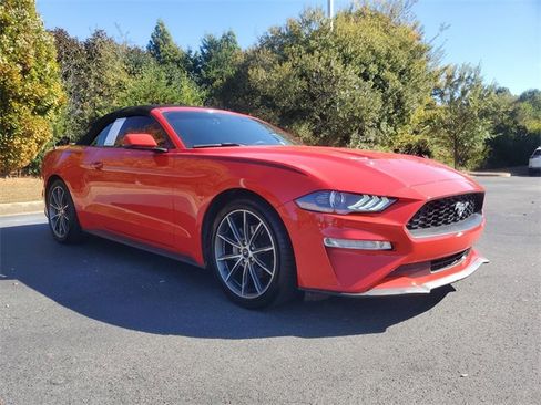 Used 2019 Ford Mustang Premium w/ Equipment Group 201A image 3