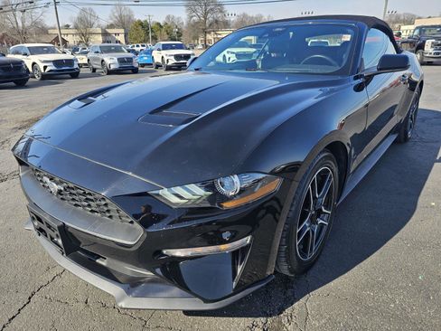 Used 2022 Ford Mustang Premium image 1