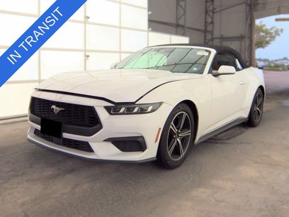 Used 2024 Ford Mustang Premium