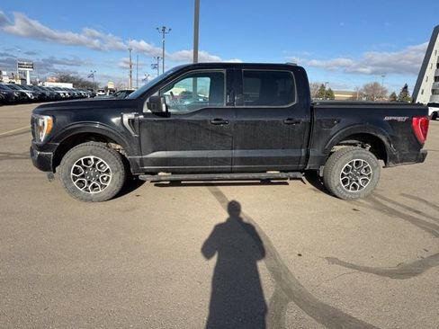 Used 2023 Ford F150 XLT w/ Equipment Group 302A High image 7