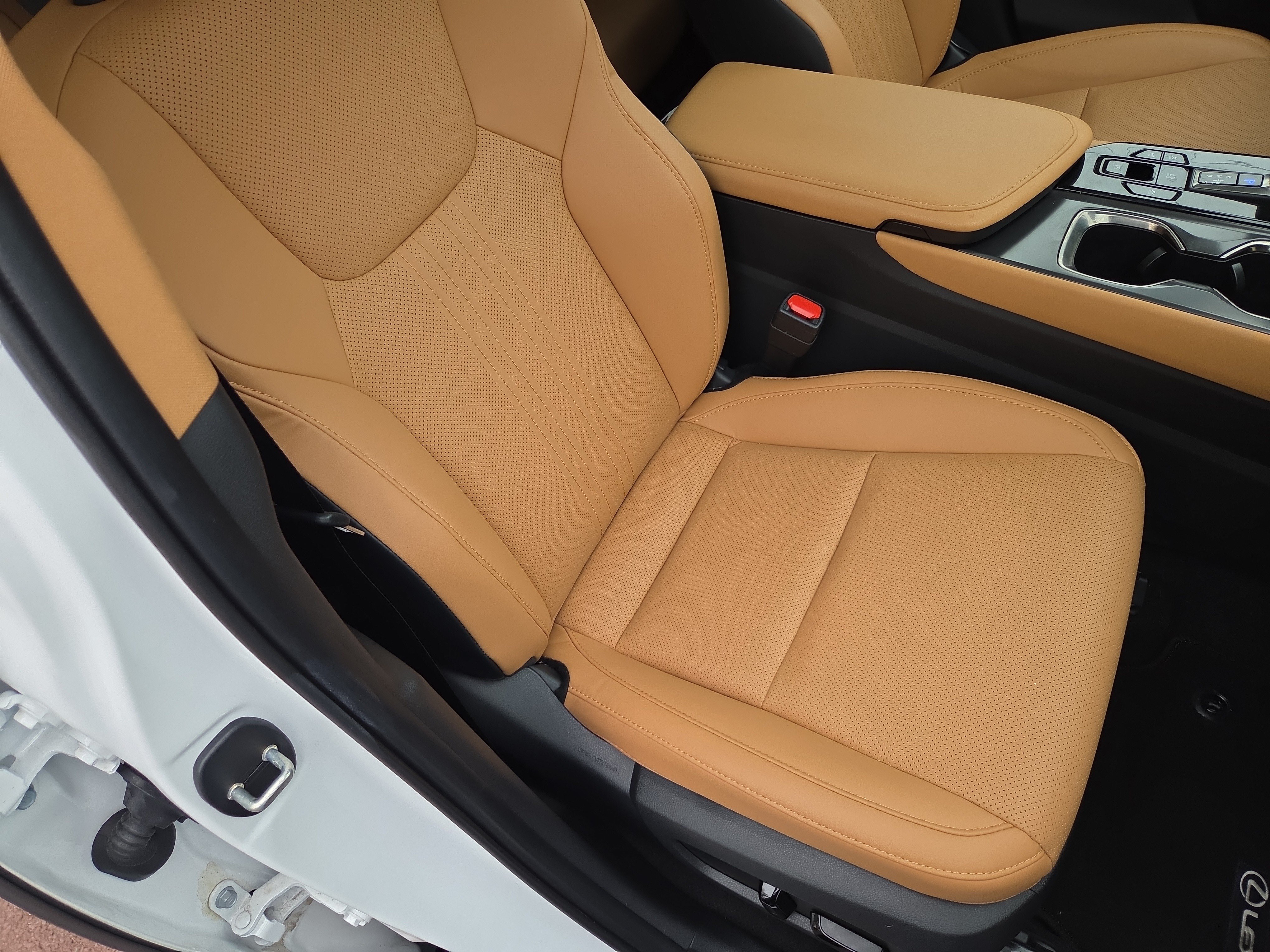 Certified 2026 Lexus NX 350h AWD w/ Cold Area Package image 16