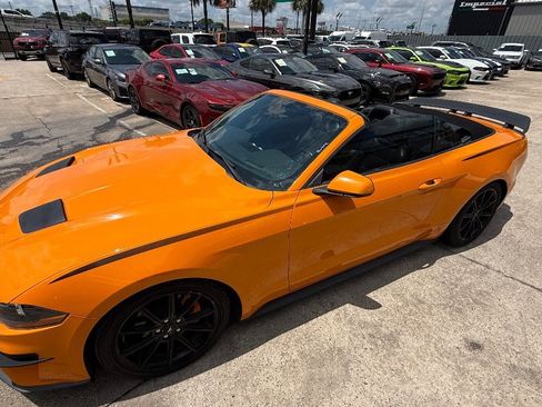 Used 2019 Ford Mustang Premium w/ Equipment Group 201A RWD image 24