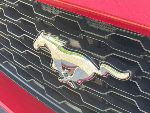Used 2015 Ford Mustang Premium RWD image 11