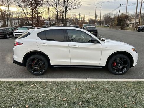 New 2025 Alfa Romeo Stelvio Sprint image 9