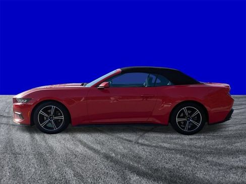 Certified 2024 Ford Mustang Premium RWD image 7