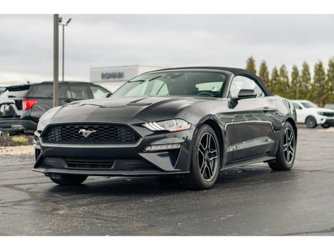 Used 2023 Ford Mustang Premium image 2