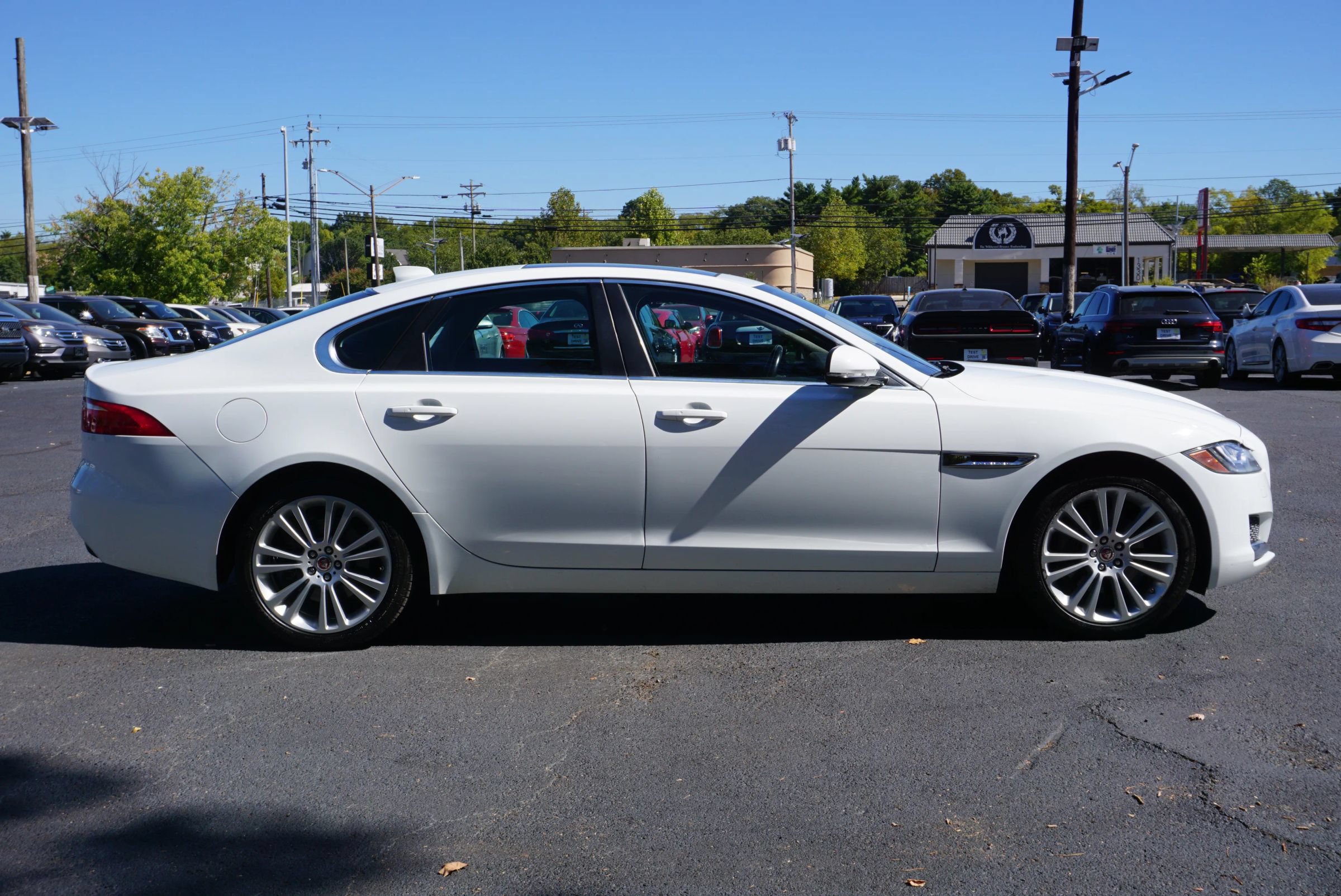 Used 2019 Jaguar XF Premium RWD image 4