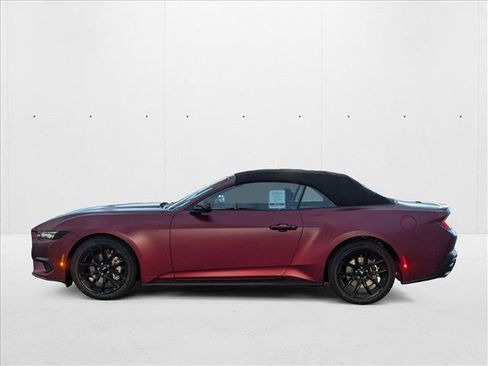 New 2025 Ford Mustang Premium w/ Mustang Nite Pony Package image 5