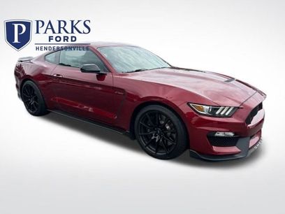 Used 2018 Ford Mustang Shelby GT350 w/ Convenience Package