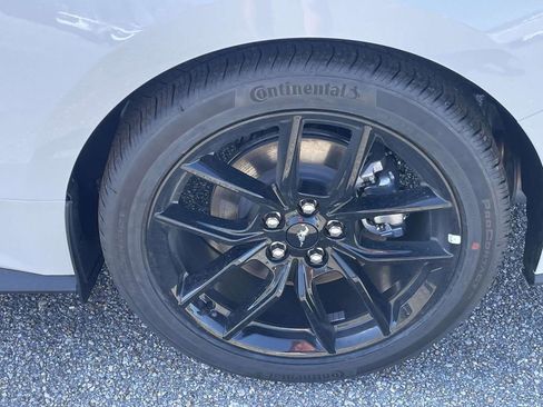 New 2026 Ford Mustang Coupe w/ Mustang Nite Pony Package image 9