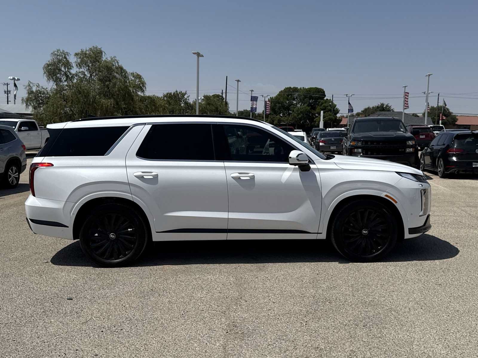 Used 2025 Hyundai Palisade Calligraphy AWD/4WD image 9