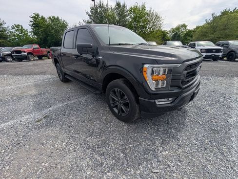 Used 2023 Ford F150 XLT w/ Equipment Group 302A High AWD/4WD image 14