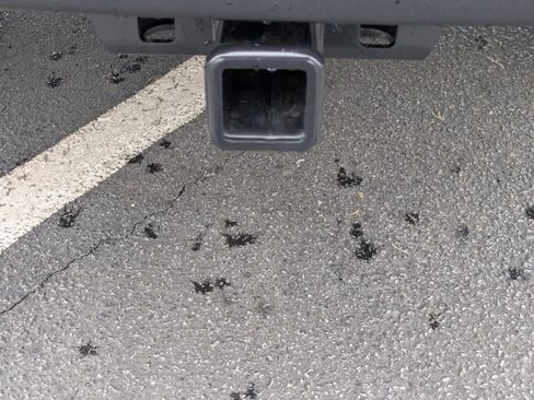 New 2026 RAM 1500 Rebel image 26