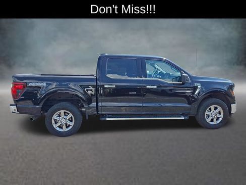 Used 2025 Ford F150 XLT w/ Equipment Group 301A Standard AWD/4WD image 5