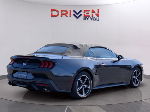 Used 2024 Ford Mustang Premium image 5