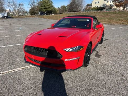 Certified 2019 Ford Mustang Premium w/ Equipment Group 201A image 3