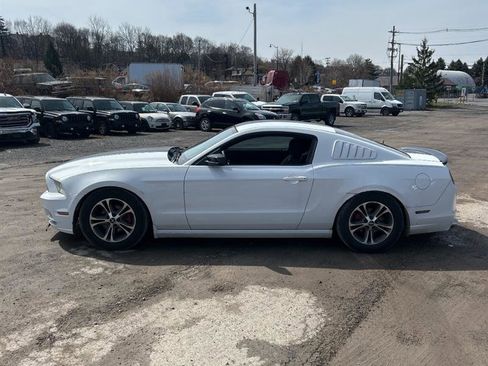 Used 2014 Ford Mustang Coupe w/ FP6 Appearance Package RWD image 7