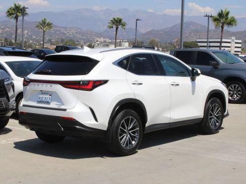 Certified 2025 Lexus NX 350h AWD w/ Cold Area Package image 21