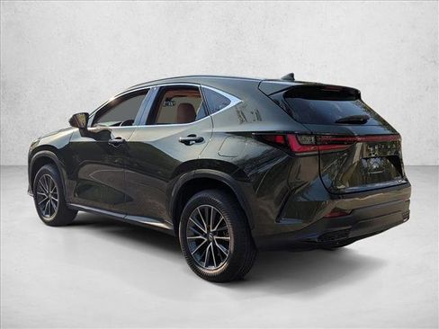 Used 2025 Lexus NX 350 NX 350 Luxury image 7