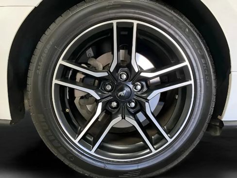Used 2019 Ford Mustang Premium RWD image 26