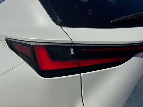 Certified 2024 Lexus NX 250 FWD w/ Cold Area Package image 14