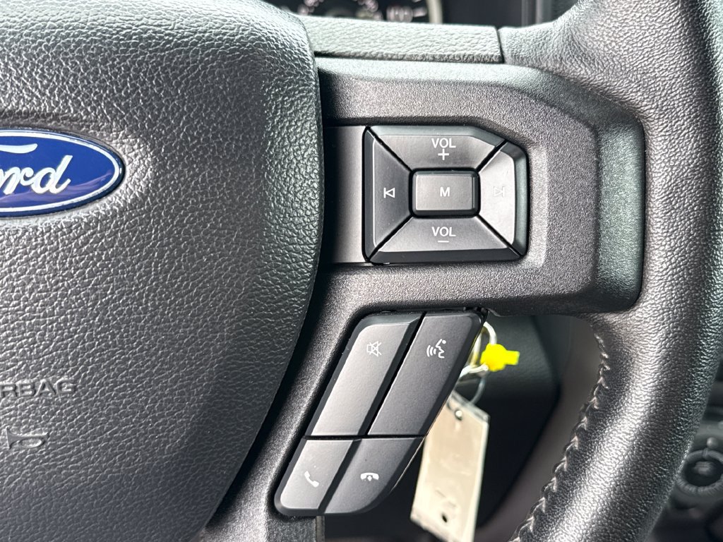 Used 2019 Ford F150 XLT w/ Equipment Group 302A Luxury AWD/4WD image 16